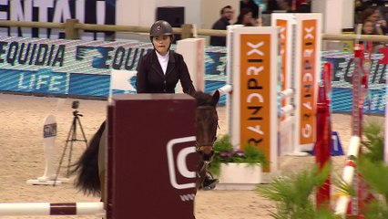 delight salon du cheval