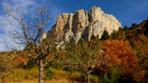 Parc du Vercors couleurs d'automne