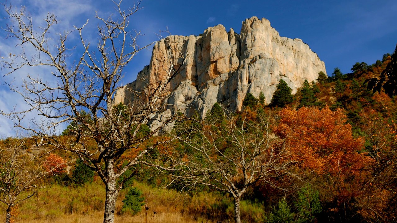 Parc du Vercors couleurs d'automne