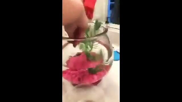 Elle jette aux toilettes son poisson mort