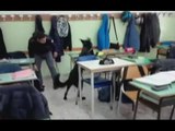 Ragusa - Droga tra i banchi di scuola, segnalato uno studente (03.12.16)