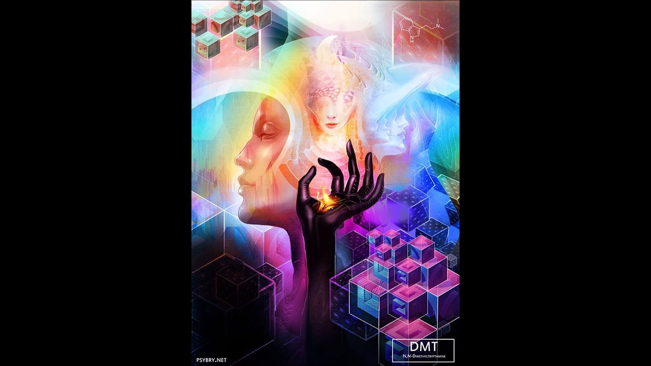 Il n’a pas hésité à essayer 20 drogues pour faire ses peintures