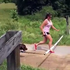 Best funny and very very crazy video 2016