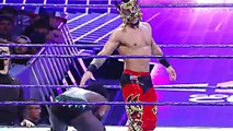 Lince-Dorado-brings-unique-lucha-action-to-WWE-205-Live -