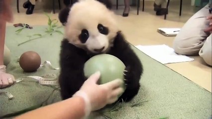 Я ЖАААДИНА!!! СТО раз можно СМОТРЕТЬ!))