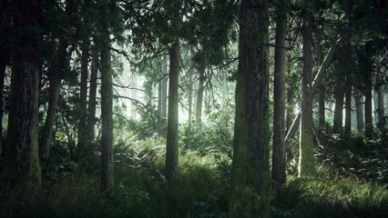 The Last of Us Part II - Reveal Trailer