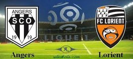 Angers 2-2 Lorient - All Goals & Highlights  03.12.2016