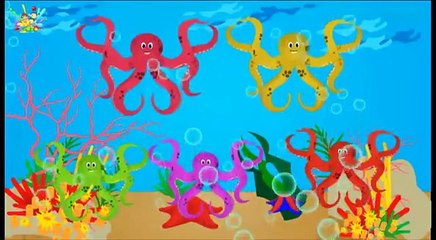 Funny Octopus Vs Electric JellyFish Finger Family | Sea Creatures Finger Family Songs