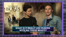 Fantastic Beasts And Where To Find Them Behind-The-Scenes | Fave Creatures | MTV