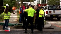 City Workers Lift 950-Pound Manatee From Storm Drain After Being Stuck for Hours