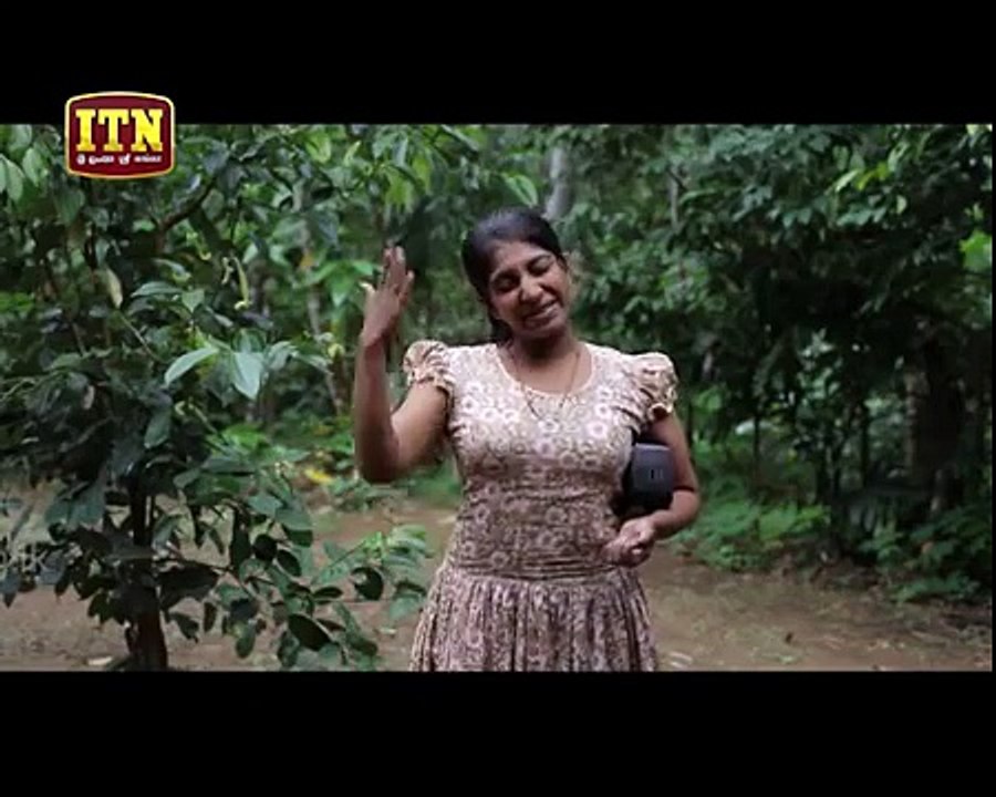 Swetha Gantheera – Episode 11 – 2016-12-03