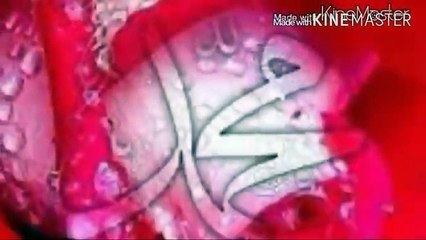 Beautiful naat by junaid jamshed kamli wale