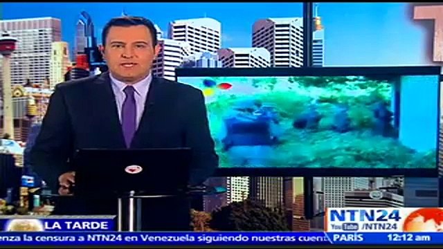 “Estamos hablando de personas que fueron torturadas, asesinadas y desaparecidas”: Diputada Yajaira Forero sobre la masacre de Barlovento
