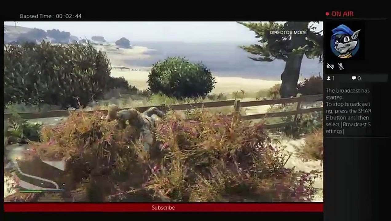rocketrackcoon gta (7)