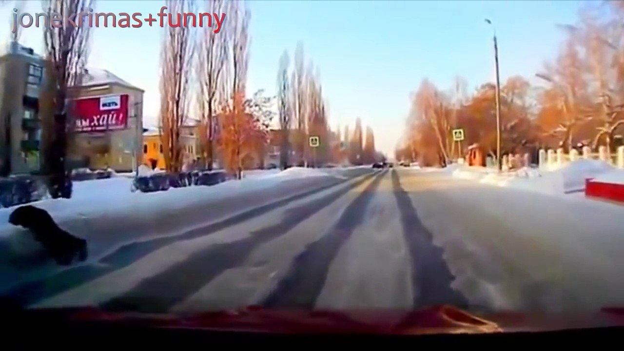 Jokes, funny 2016 BEST VIDEO  by jonekrimas+funny