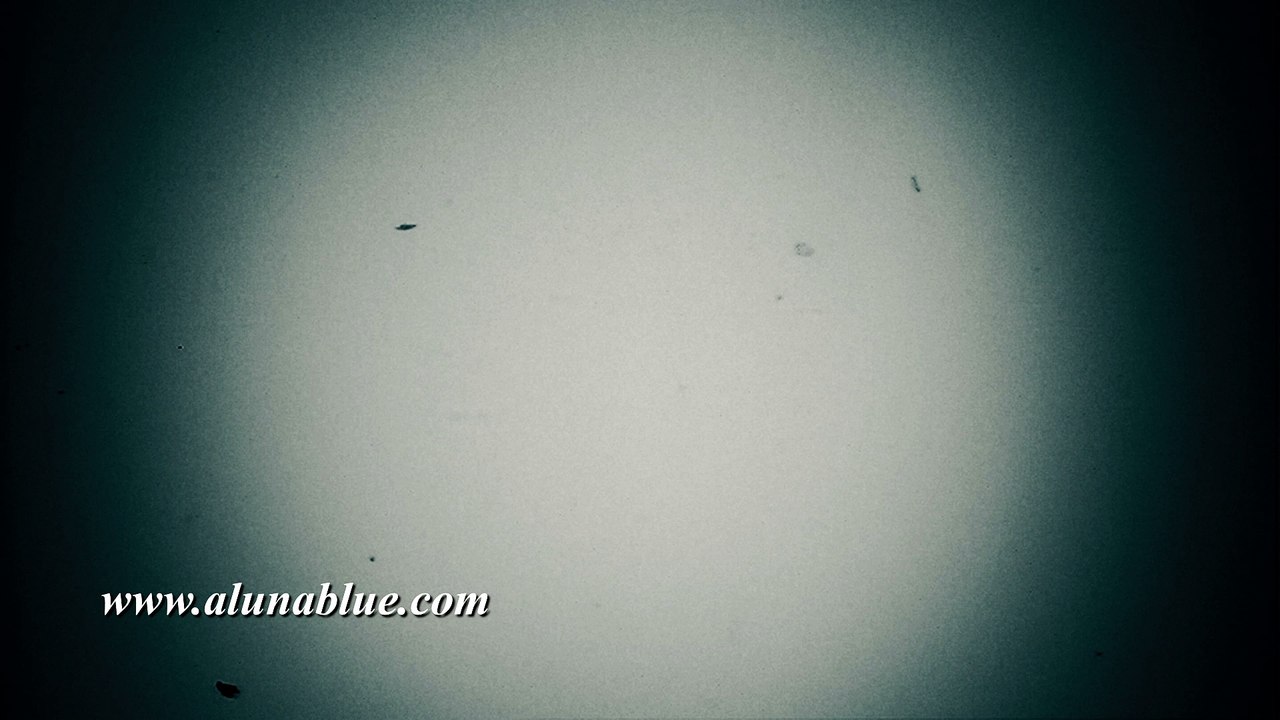 Film Leader Stock Footage - Film FX1053 HD, 4K