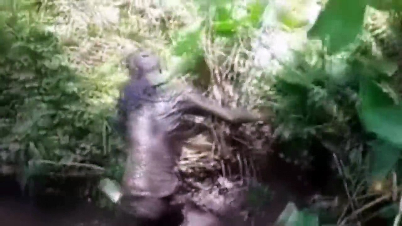 TOP FAILS NOVEMBER vol.5 ★ BEST FUNNY VIDEOS ★ Epic FAIL Compilation 2016