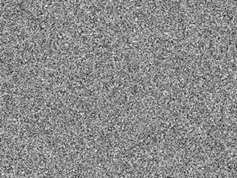 Tunisie : deux propos superposés