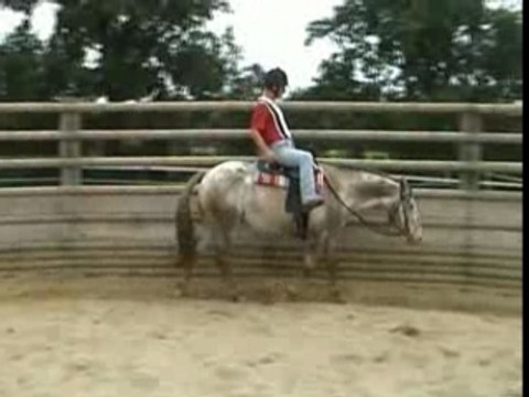 cours Vincent initiation