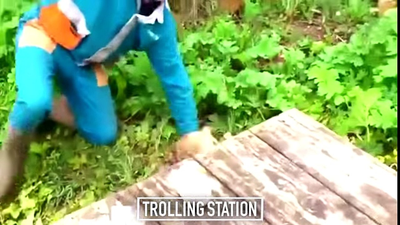 Funny Videos ★ Best Funny Fail Compilation ★ Funny Videos 2017