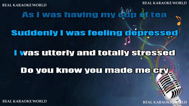 The Cranberries - Animal instinct KARAOKE / INSTRUMENTAL