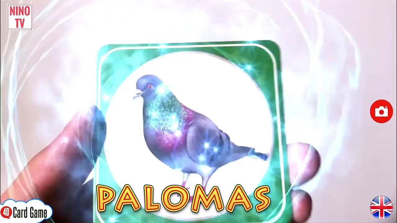 sonidos de animales para bebes estimulacion temprana | 4D | p2