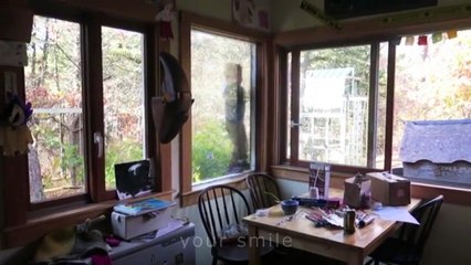 ЛУЧШИЕ ПРИКОЛЫ 2016 ДЕКАБРЬ Лучшая Подборка Приколов #239