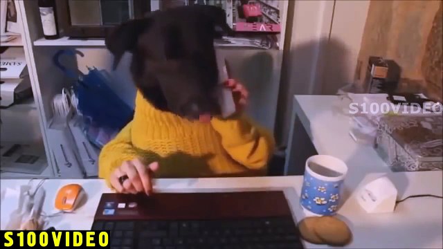 30 Минут Дикого Угара, Смех до слез, пошлые приколы 2016