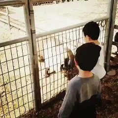 Funny Videos (@fun_bestvids) • Instagram photos and videos_24