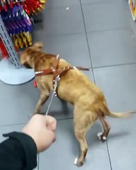 Punjabi Tadka (@punjabi_tadka) • Instagram photos and videos_7