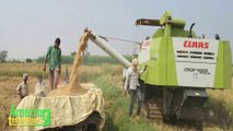 Crop Harvesting Machine│ Amazing Modern Crop Harvesting Technique