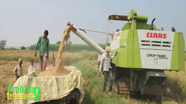 Crop Harvesting Machine│ Amazing Modern Crop Harvesting Technique