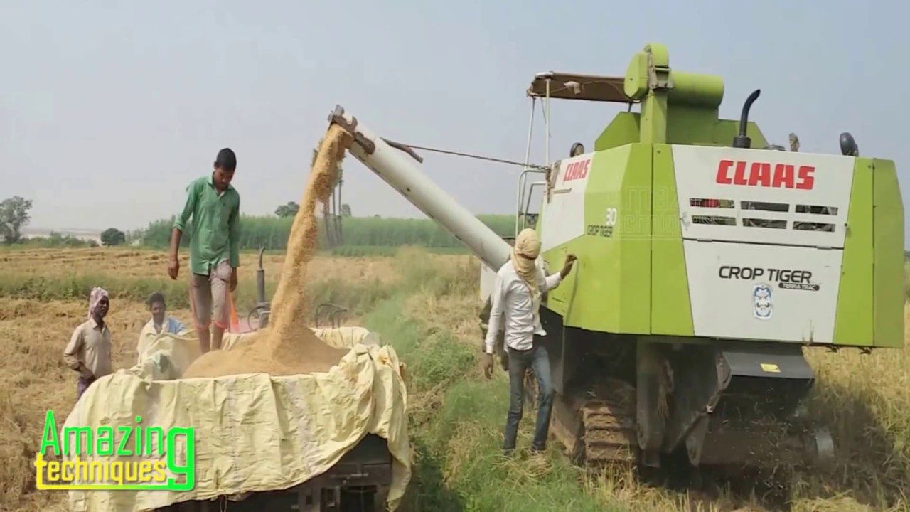 Crop Harvesting Machine│ Amazing Modern Crop Harvesting Technique