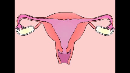Funny menstruation animation