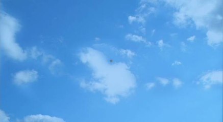 Week end des 10 et 11 décembre : doux et humide