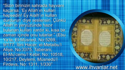 Download Video: Gavs nedir Gavs var mıdır