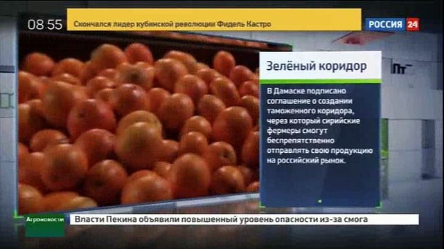 Зелёный_коридор_через_Сирию