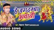 मईया झुलेली झुलनवा | Hey Jagdamba Bhawani | Vishal Deewana | Bhojpuri Song Devi Geet 2016