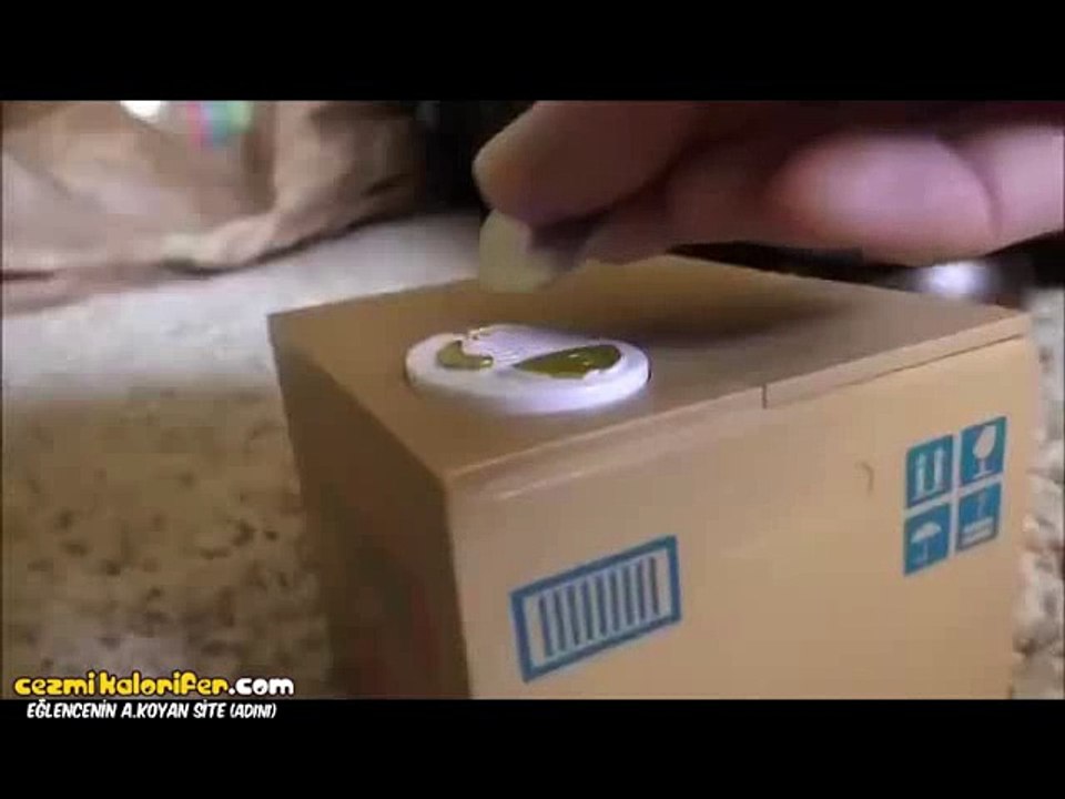 Kumbarayı Görünce İhanete Uğrayan Pelinsu Gibi Bakakalan Kedi