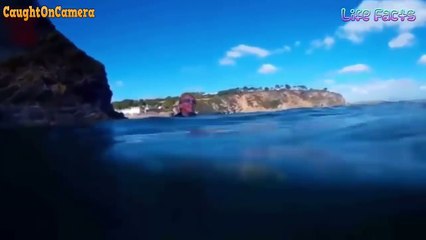GERÇEK DENİZ KIZI Dünyanın Kaydedilmiş En Bilinmeyen Yaratıkları - 3