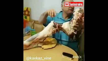 يح باني  تونسي ياكل في اللحم ني .. وزيد يتبنن