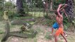 Wow! Children Catch Water Snake Using Bamboo Net Trap - How to Catch Water Snake