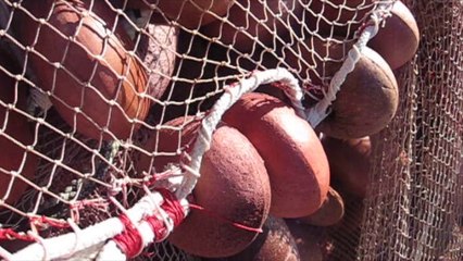 PORTO DI PALMI (RC) - Attrezzi per la pesca - Dicembre 2016 - di R.Mancini