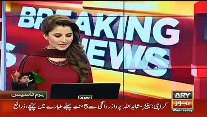 What Mushahid Ullah Did With a Female PIA Officer