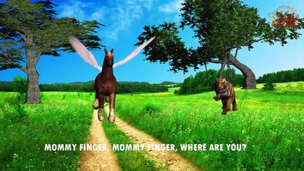 Animal Finger family - Finger Family Song - 3d Animation Nursery Rhymes