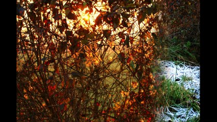 Coucher de Soleil  Canal du Nord  Picardie  Somme.