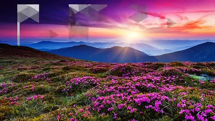 Modeling Poses Done Much Better by Catsbest - funny picutes 2016 - watchzozo