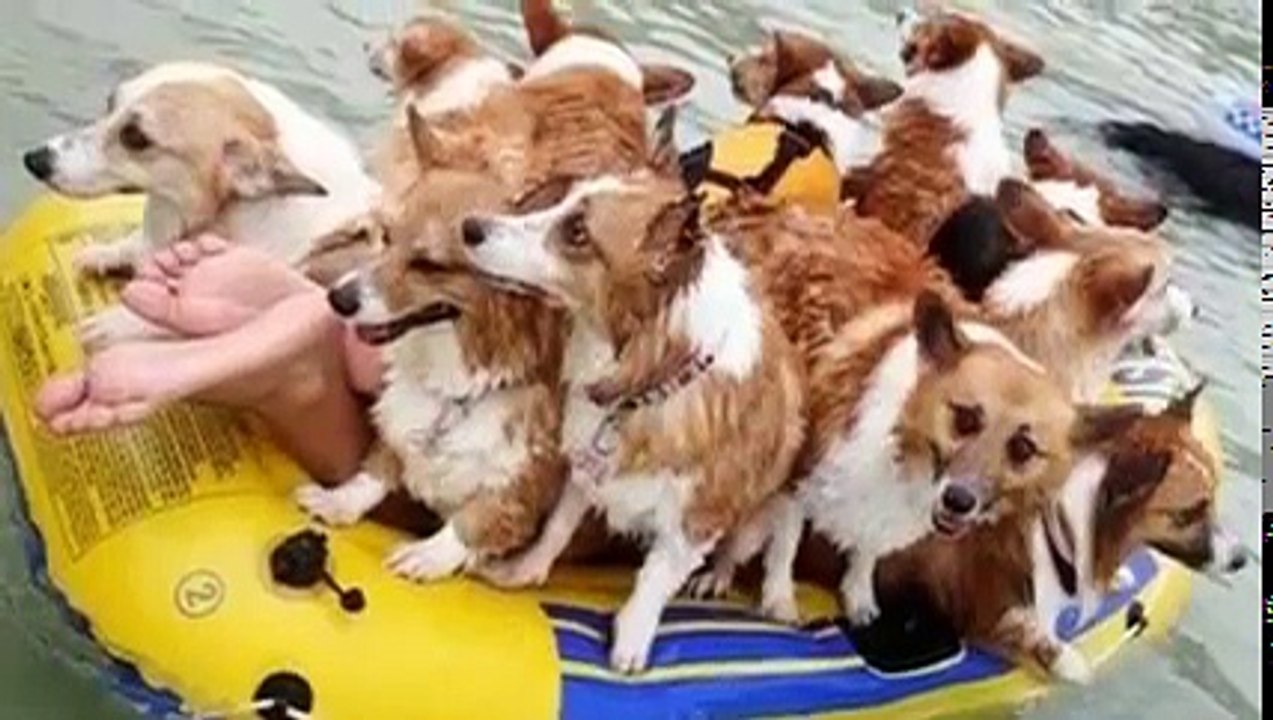 top 10 hilarious wtf photos