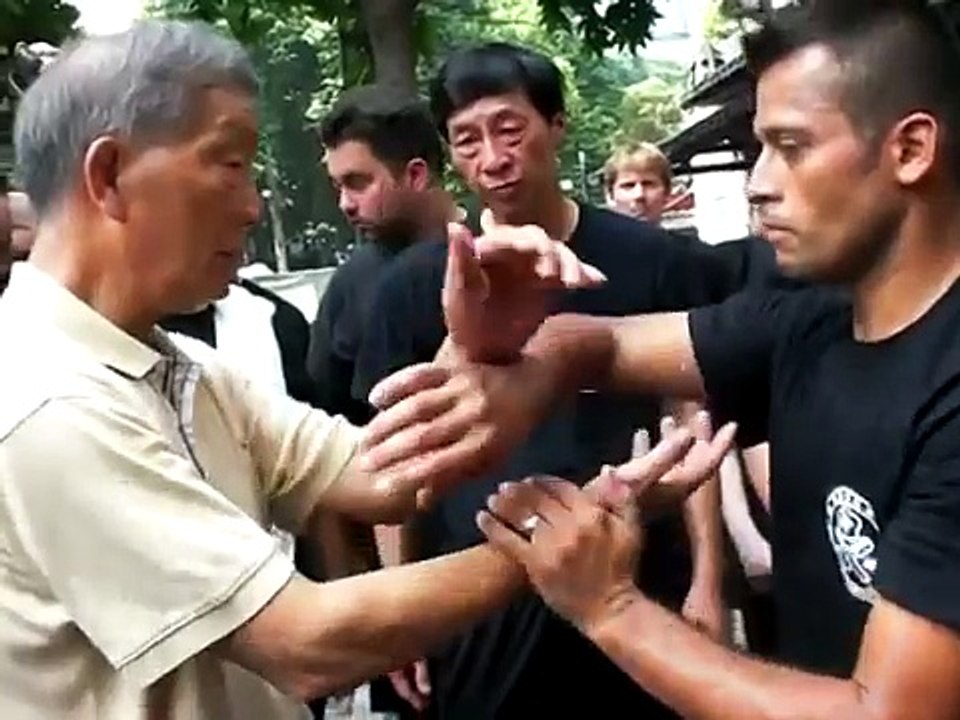 Ip Ching Wing Chun