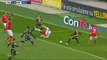 Davide Luppi  GOAL HD - Verona	1-0	Perugia 04.12.2016